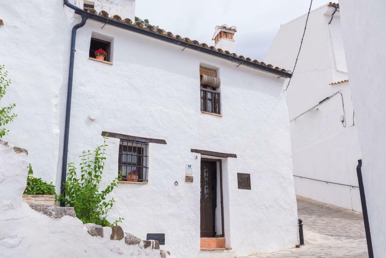 Conjunto Rural Casa Victoria Vendégház Villaluenga Del Rosario Kültér fotó
