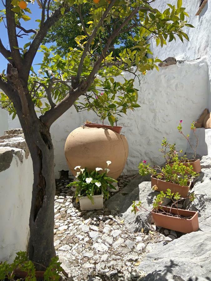 Conjunto Rural Casa Victoria Vendégház Villaluenga Del Rosario Kültér fotó
