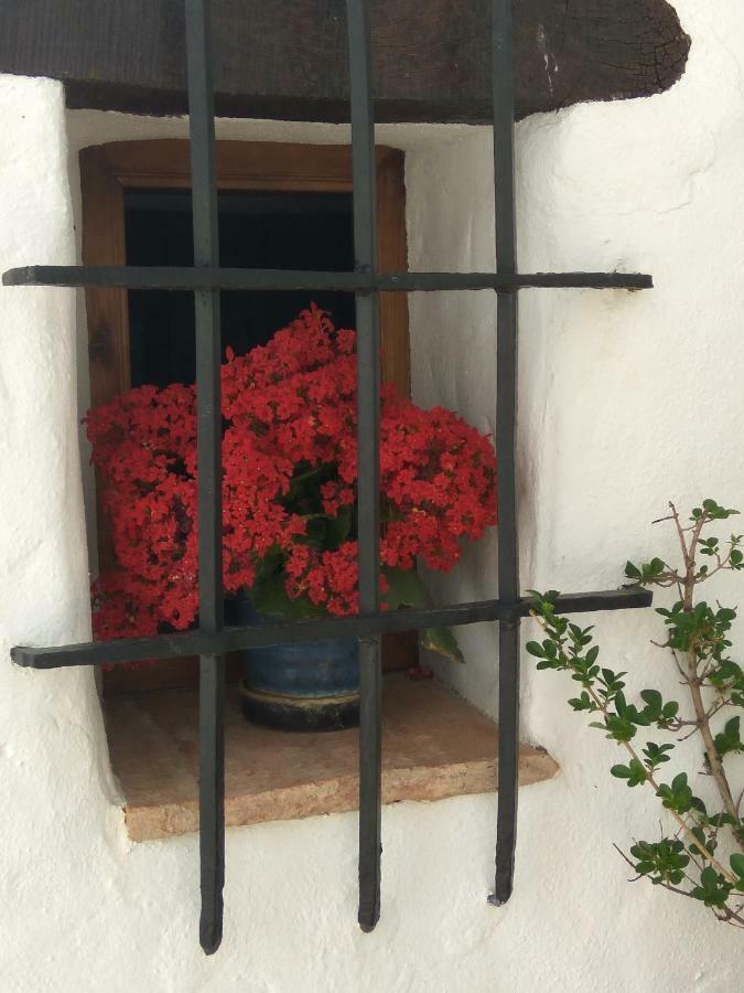 Conjunto Rural Casa Victoria Vendégház Villaluenga Del Rosario Kültér fotó